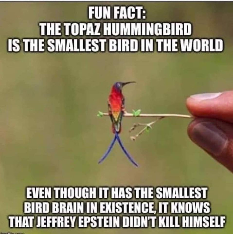 EA1F4574-ADBA-4B7A-8BE6-198CFDD479A5