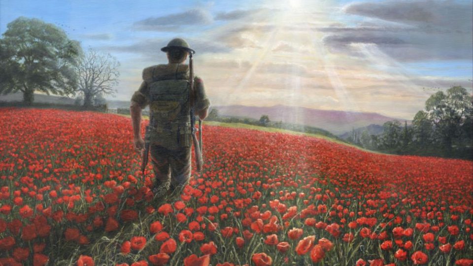 flanders field drawing 960x540