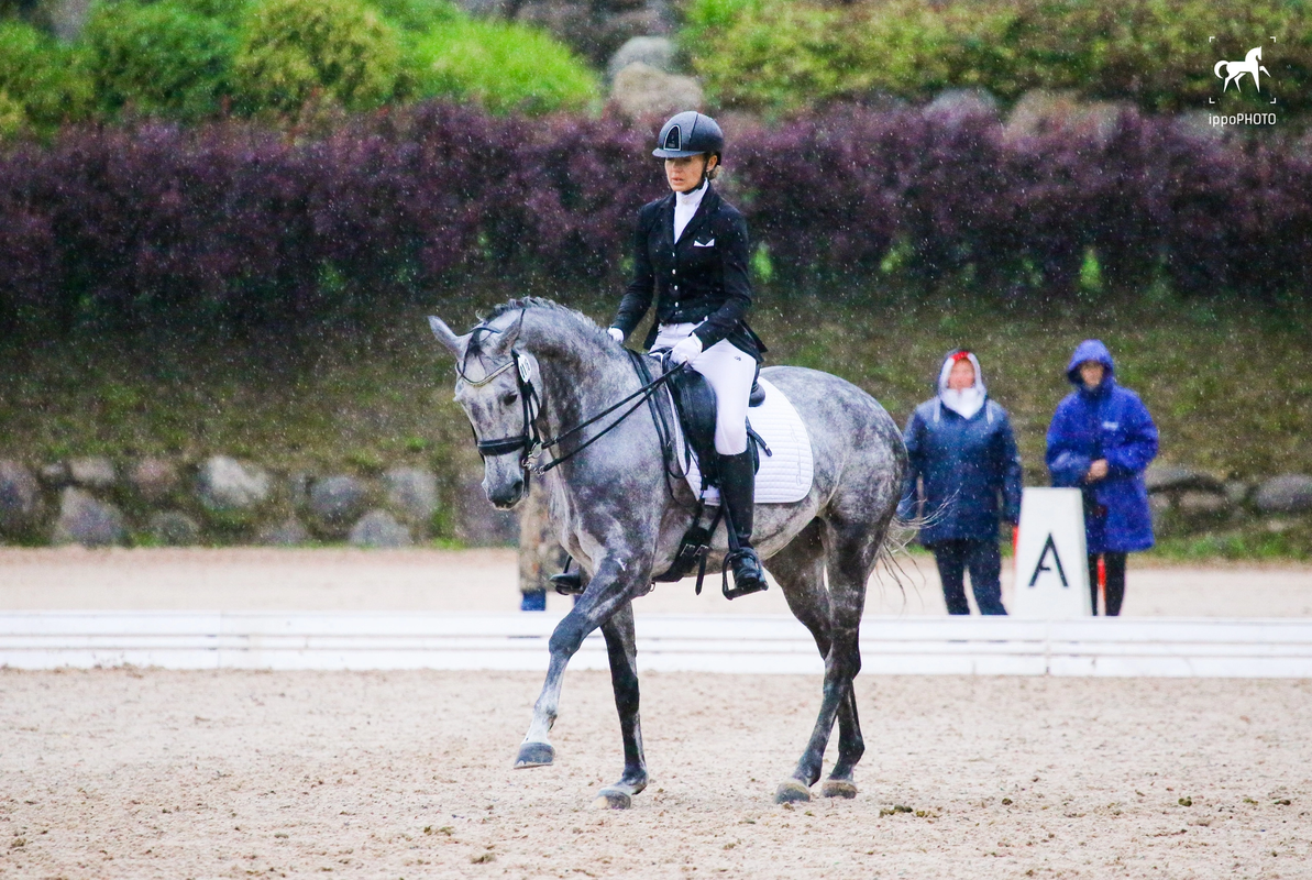 2F5E4377-17E0-4F33-86ED-6C586DE048CB