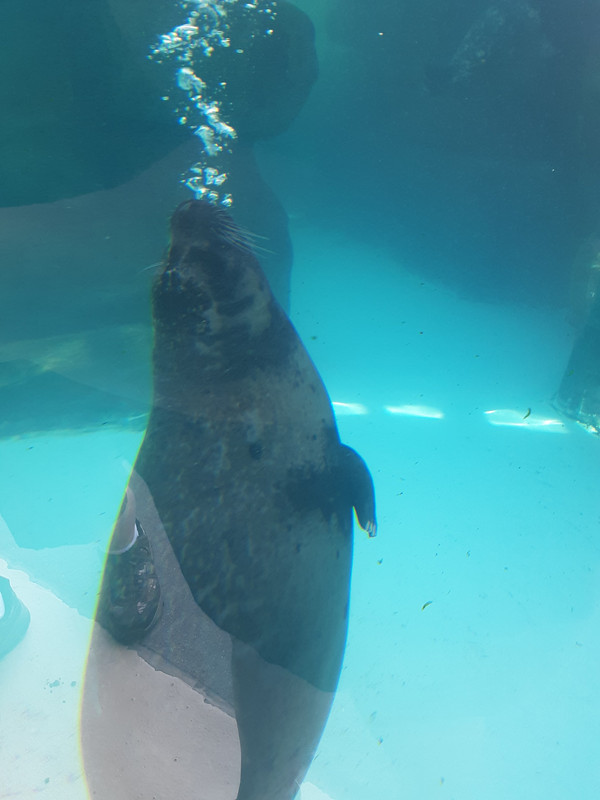 20190523_112525(0)