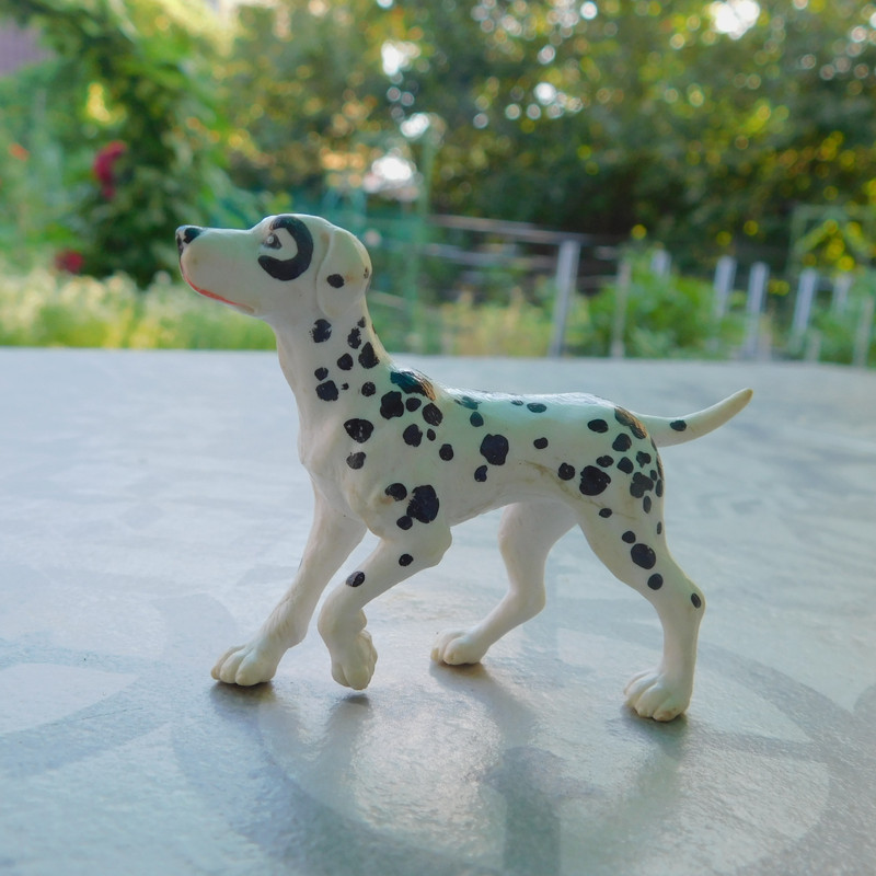 Дачно-Харлинский июнь-июль 2024 277