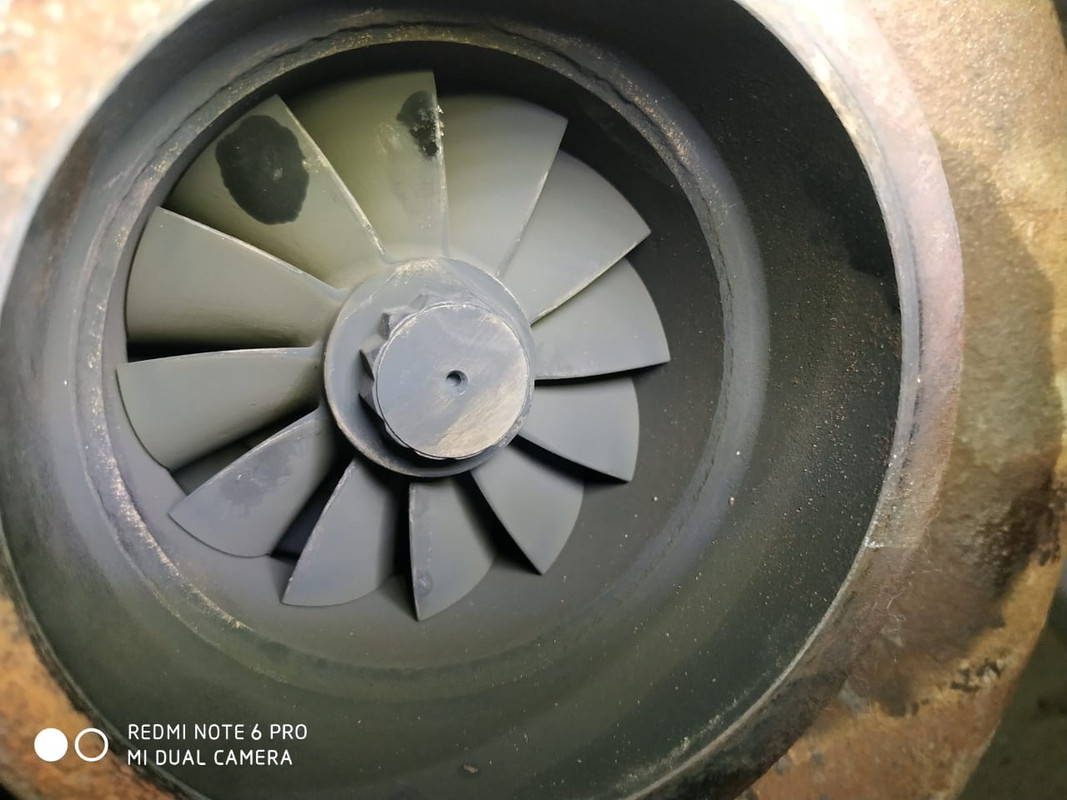 WhatsApp Image 2020-09-02 at 20.06.06 (1)