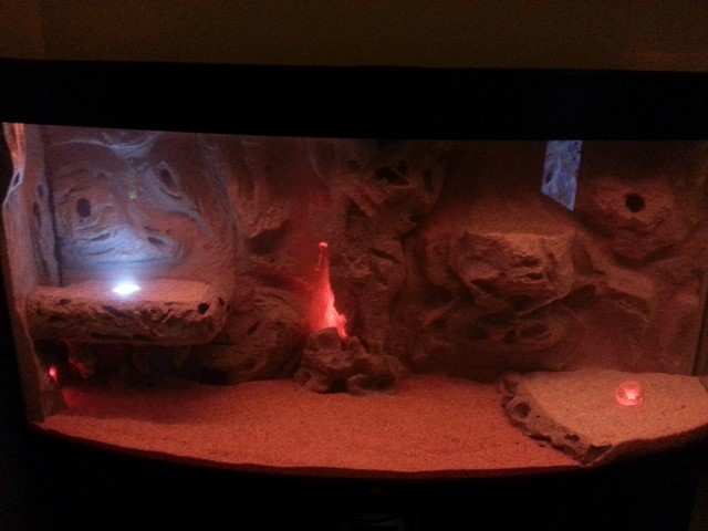 2014-03-27 19.49.13 (Copia)