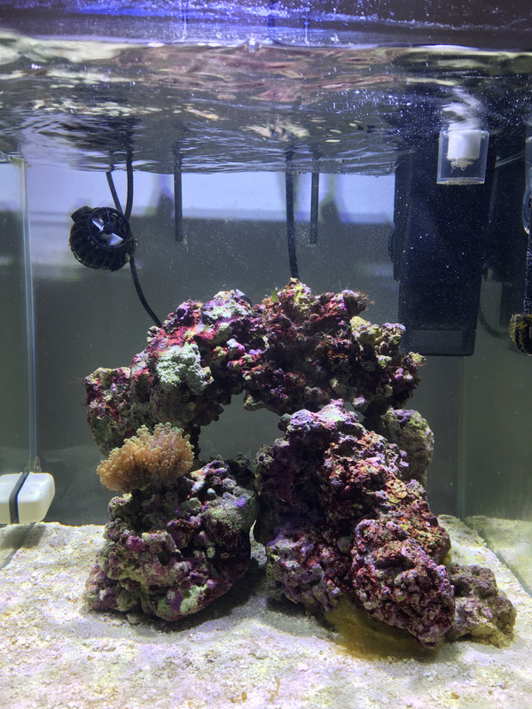 52A9BBBA-92C2-44ED-B094-DEEDAC8CE62E