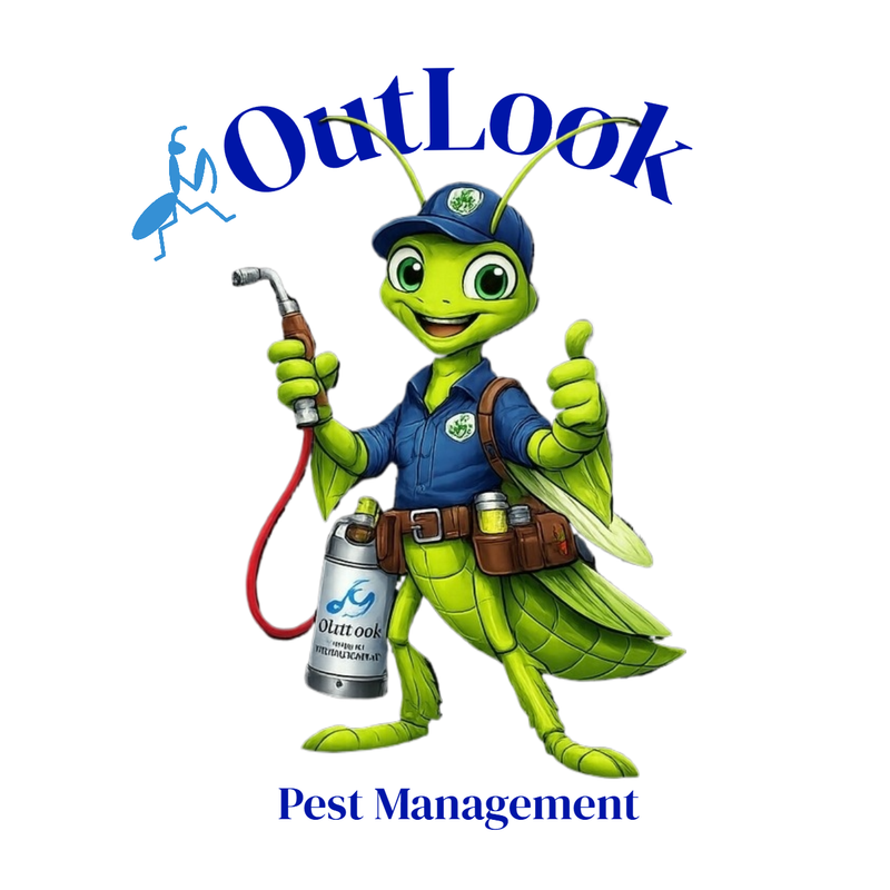 Manny the Mantis mascot for OutLook Pest Management in Barlow Oregon