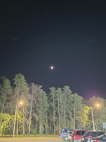 Lunar Eclipsed Green Still Moon Above Trees
