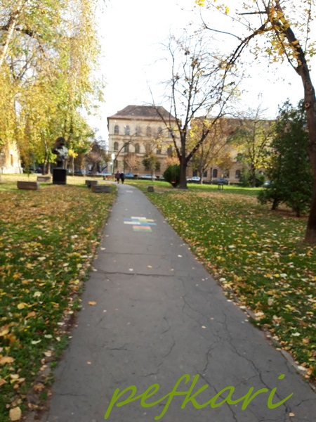 Slika