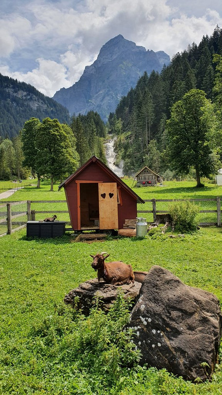 SIMMENFÄLLE (Lenk in Simmental) Y BARBARABRÜCKE- FAULENSEE - 50 sombras del verde en Suiza y Alemania (2)