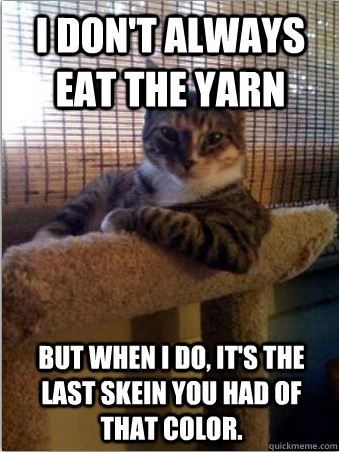 Cat Humor #7