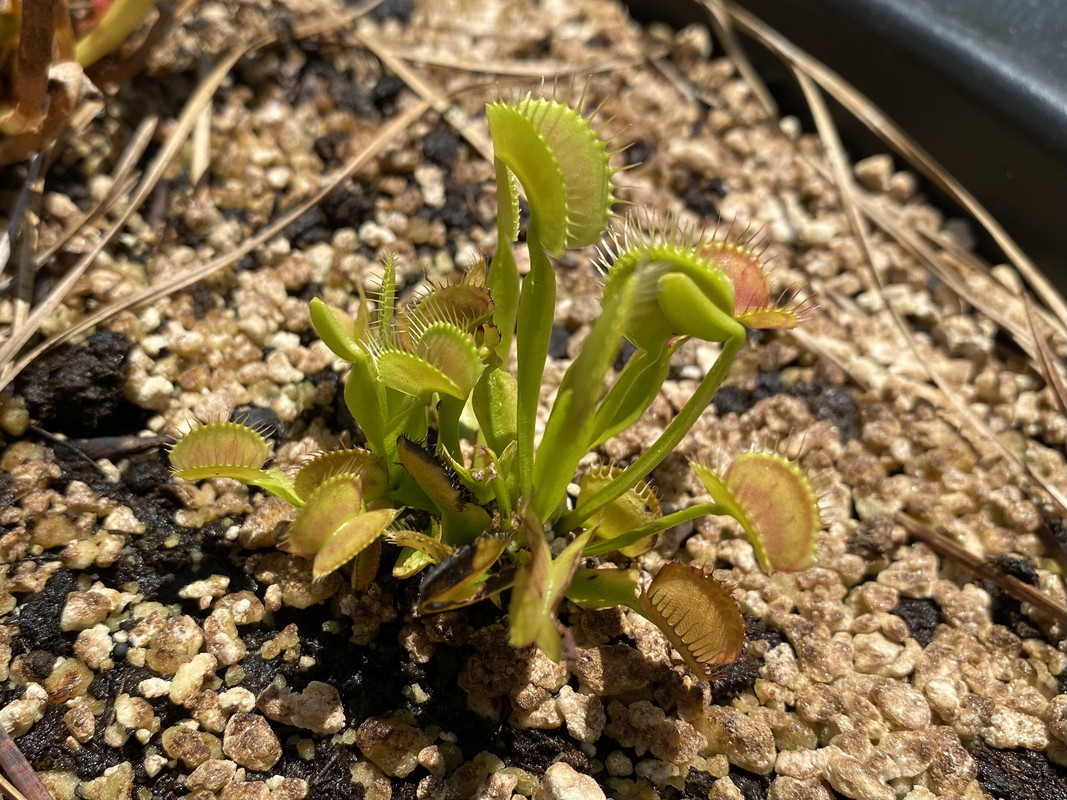 1403C3B0-C82A-4731-B32B-AB0F29099913