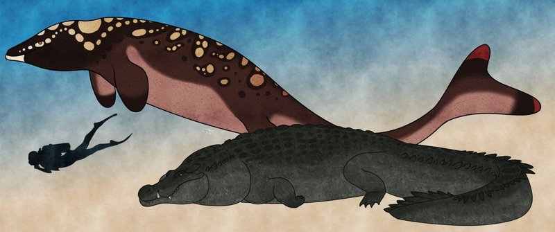 34c205a82675ebe2b87a401a520ace77