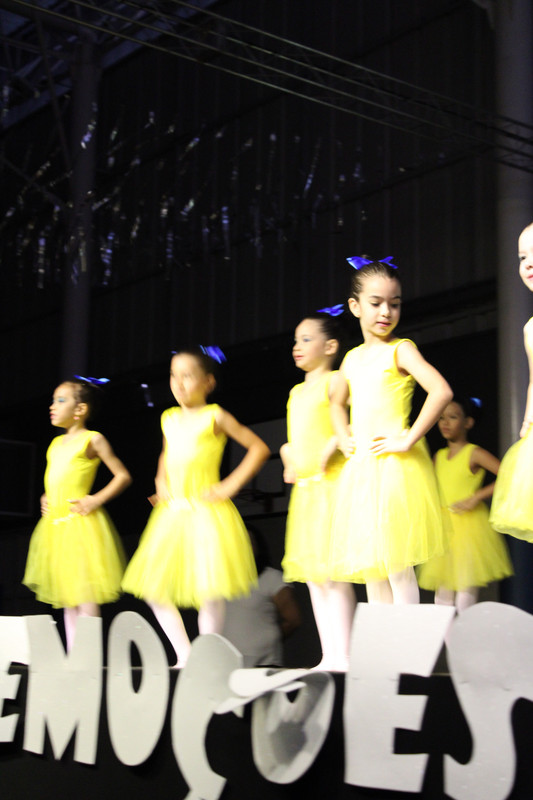 Apresentação de dança (Ballet) (138)