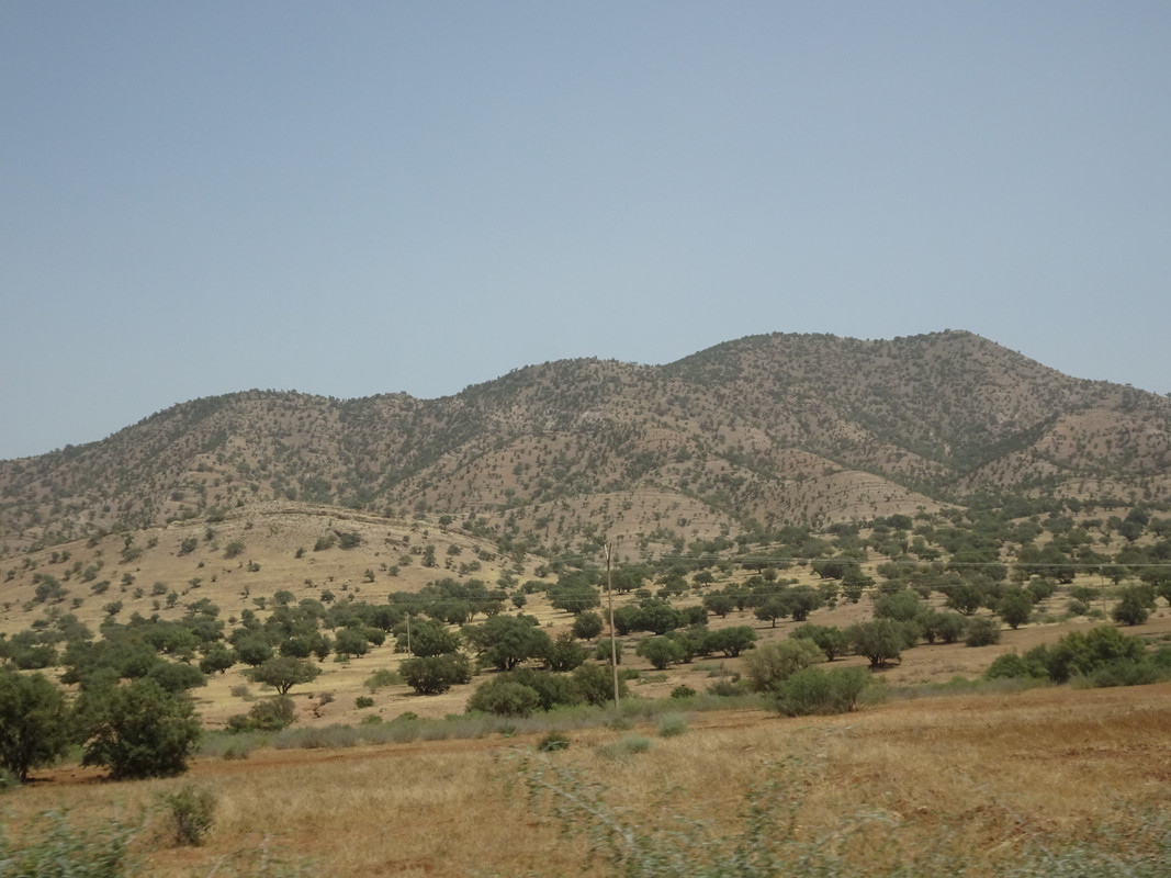[Obrazek: DSC06540.jpg]