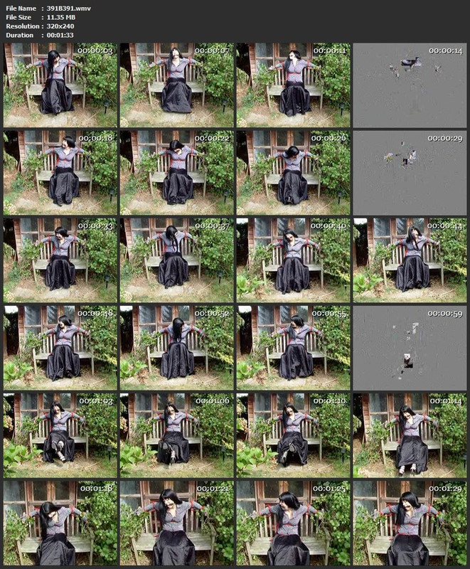 391B391.wmv