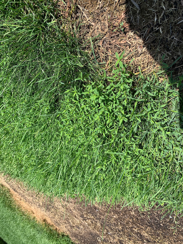 B16ECCA6-DB34-40D1-809D-1B8C6BD69C59