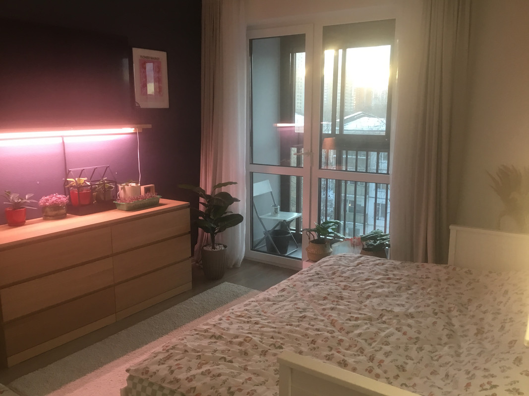 D272F18F-2848-430B-B3FD-6D9BEFF7BE73