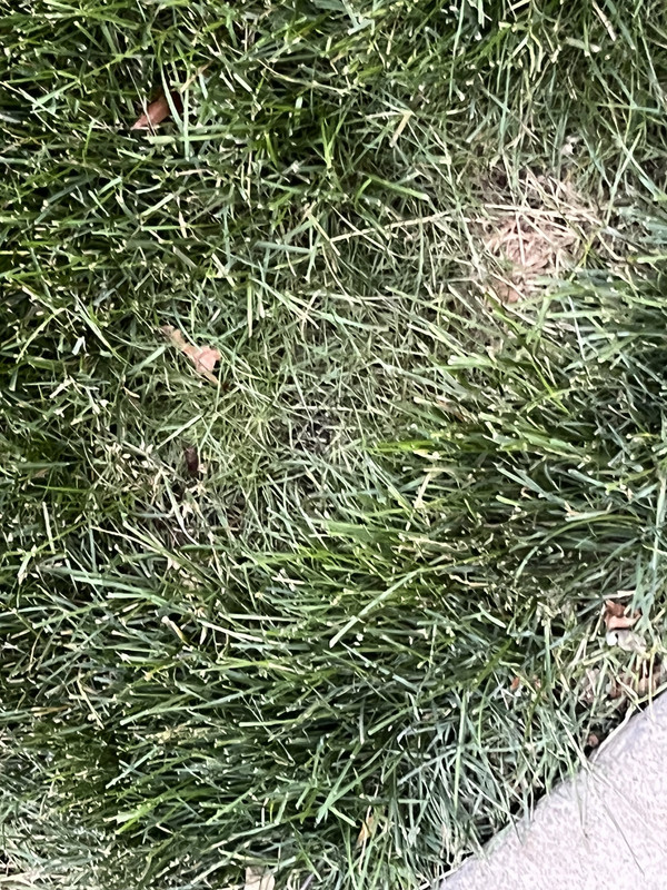 CC0DB2DB-E575-4E04-97DF-3387F2E65141