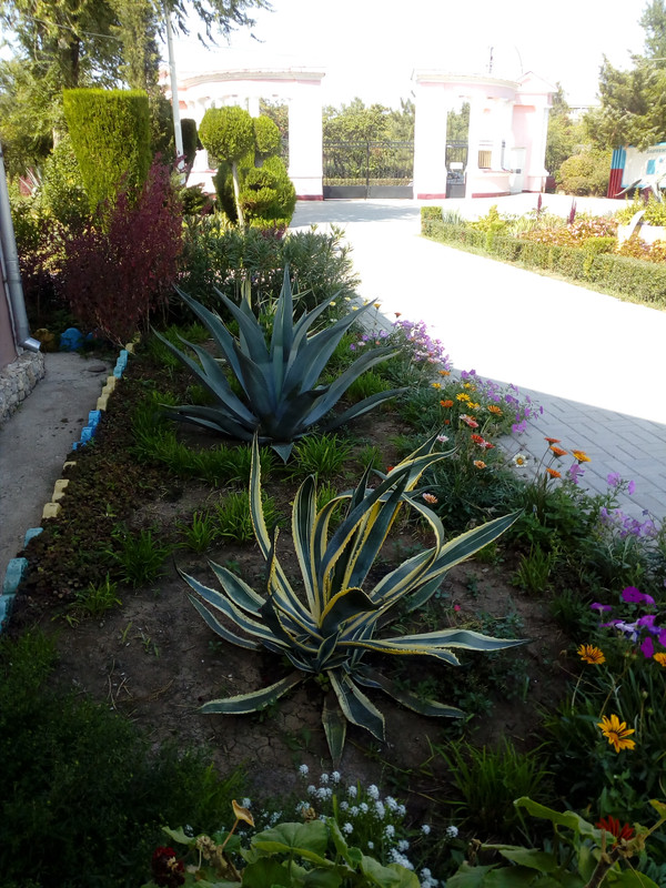 IMG_20170910_140953_1CS