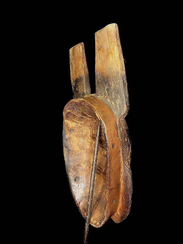 large image 12