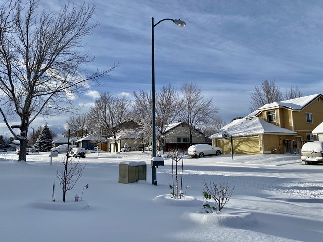 [Image: 11748-A12-8311-4-F43-B1-CB-1597157-D88-F6.jpg]