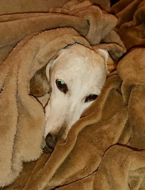 [Image: 20240531-213652.jpg]