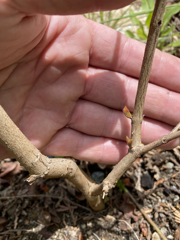 393F7601-2D1E-421F-A104-6D75B36D3D40