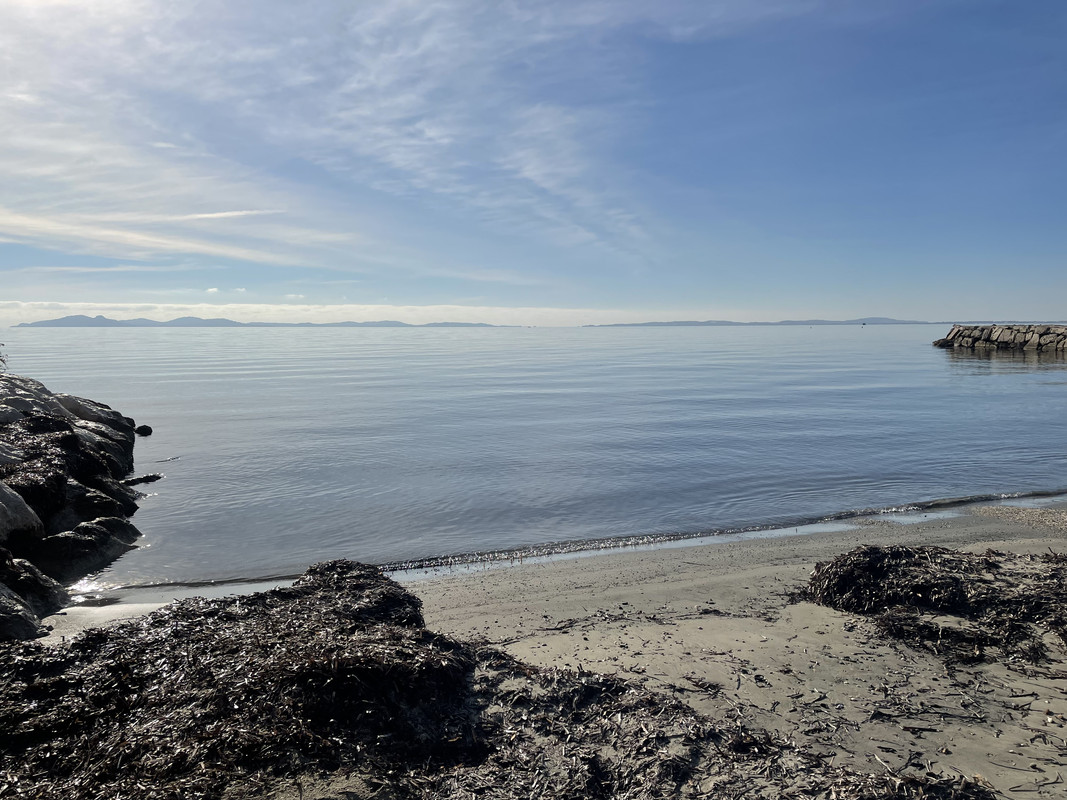 2CAC3E09-4DD3-44AE-B11E-977844A6B95C