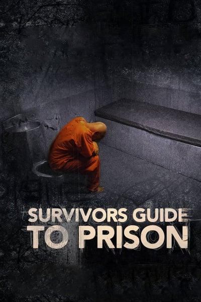 Survivors Guide to Prison 2018 720p WEB h264-OPUS