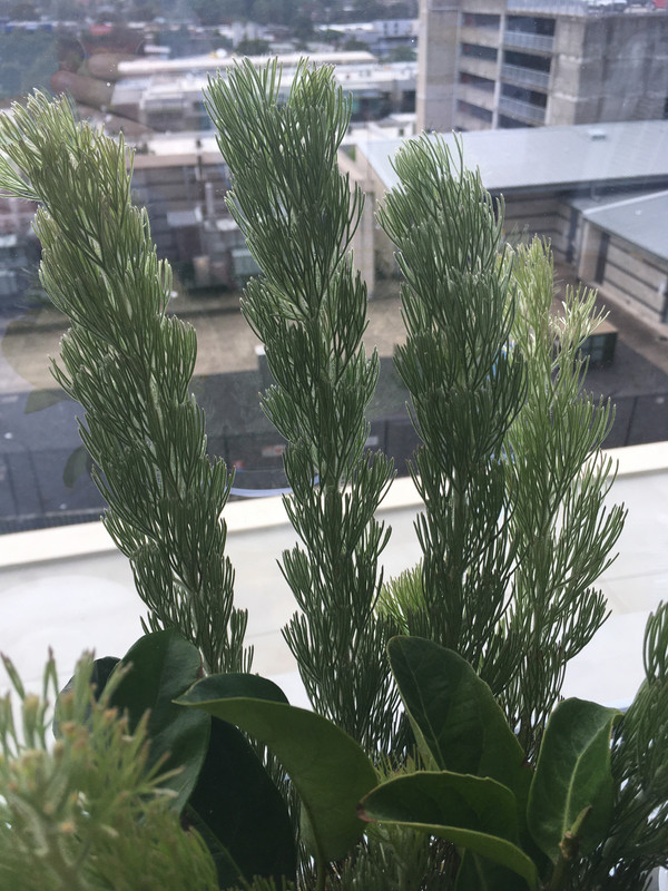 90525F34-CD2D-4596-ABC3-86493EA82F47