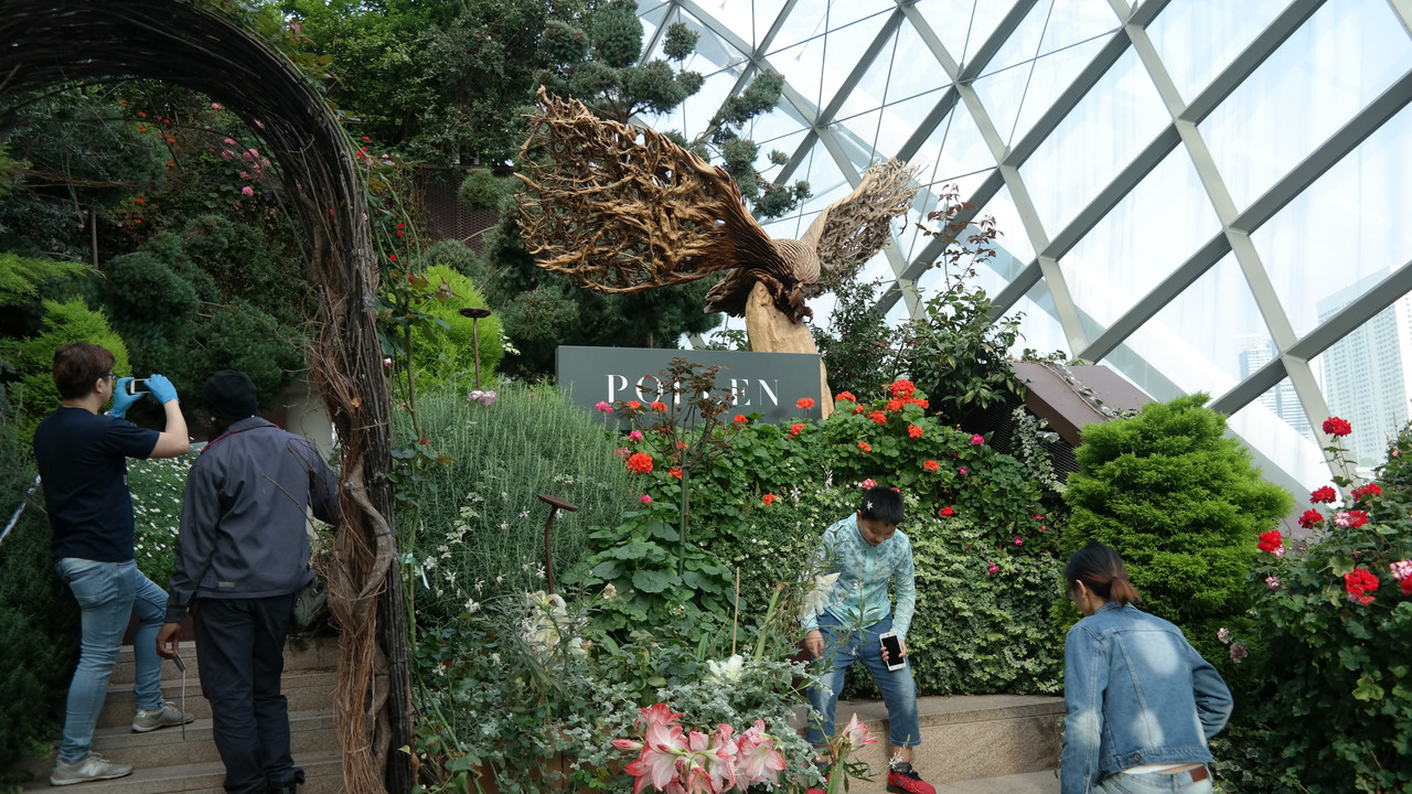 Flower Dome 16