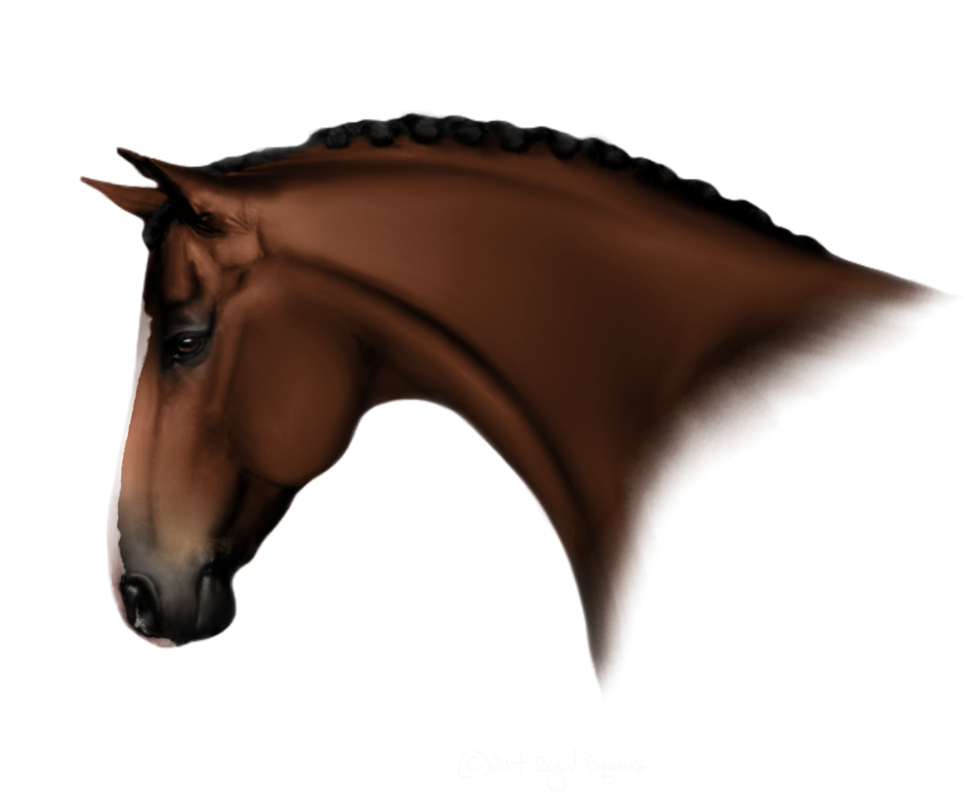 Untitled213-Restored9-20250121214047.png
