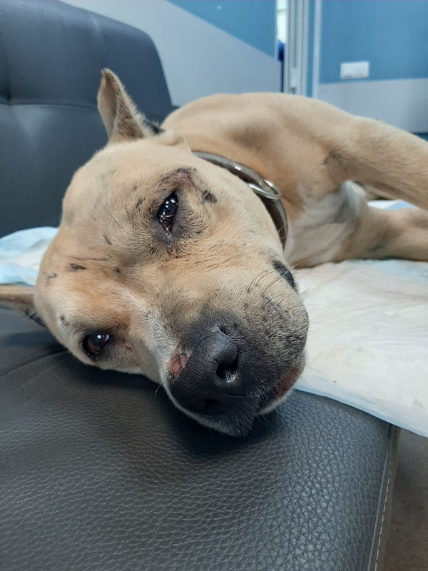 355BBD42-F02E-4EA4-8009-EF97A17390D7