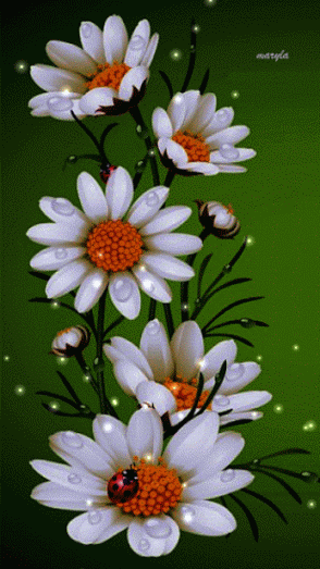 c312faf7e5f276cd7f8e8ab2aa7ceb63