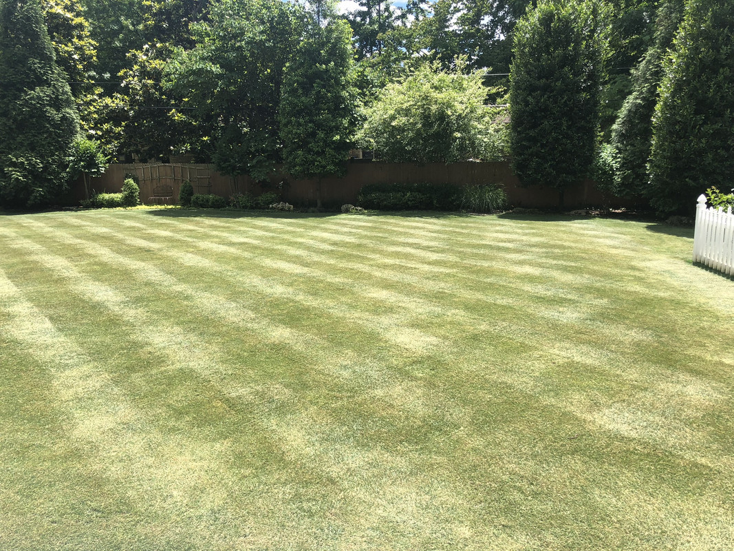 690942BA-1EC5-4A5E-A408-ED5A8A27F081