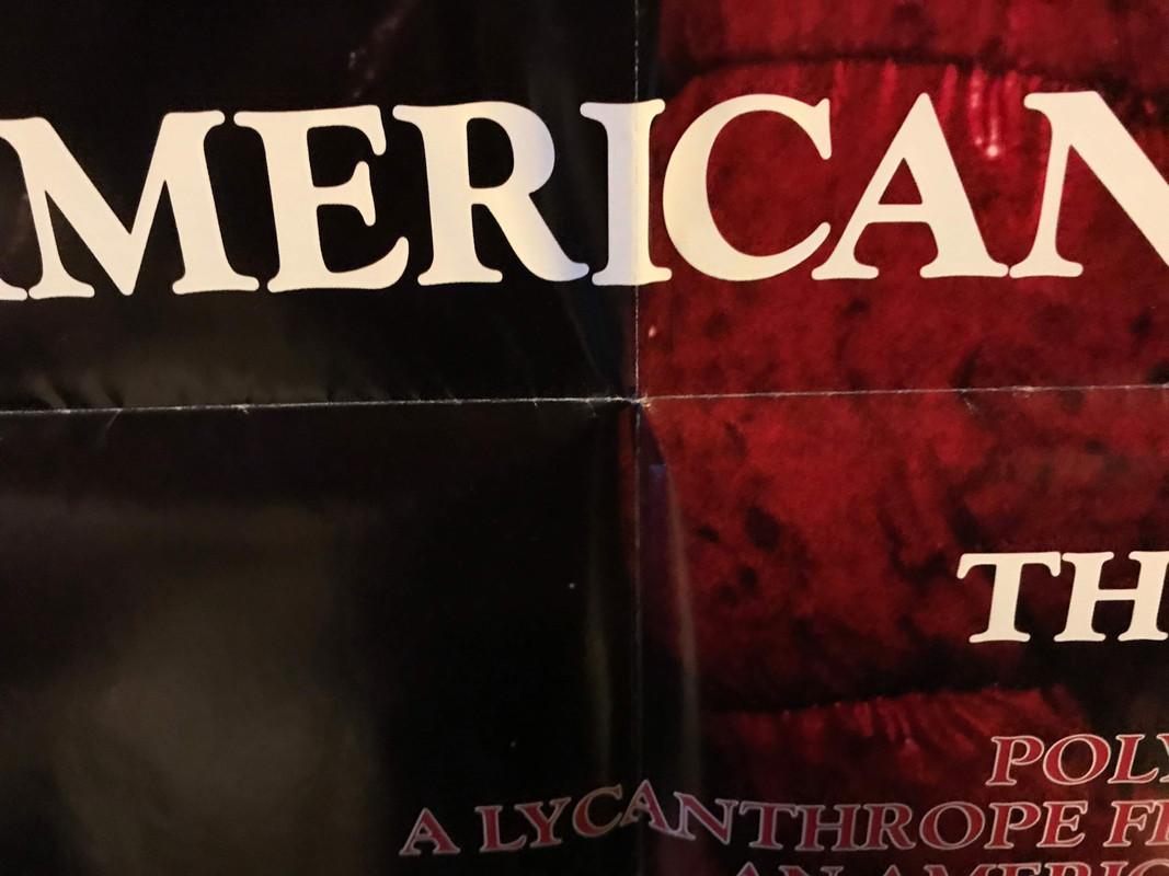 69F200B3-64F1-4FB9-AA50-B5A413B1CF98