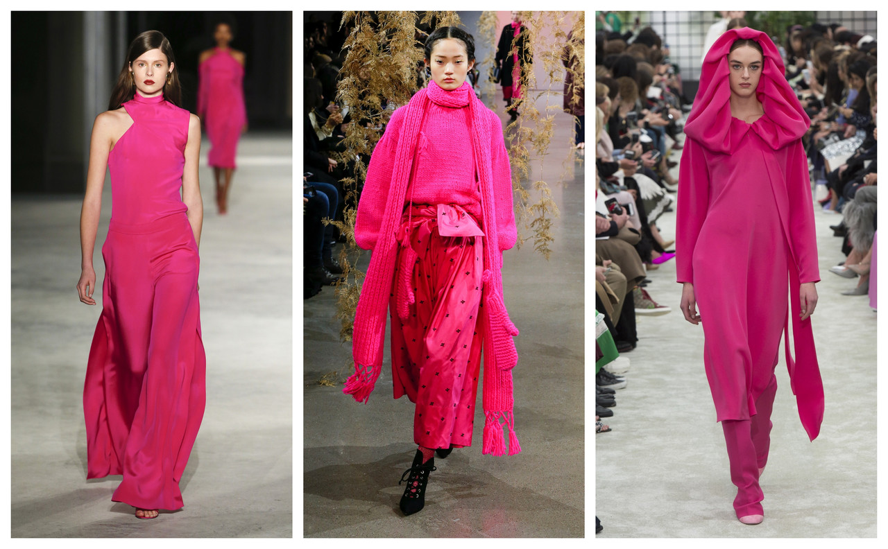 color trends