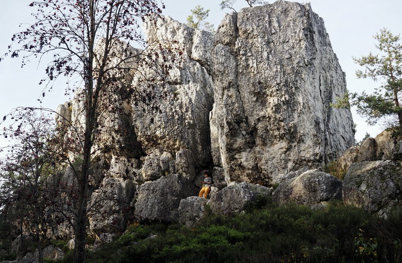 PA290871.jpg
