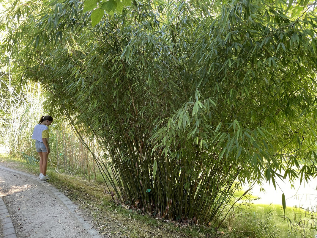 8D6AAD81-8AAC-4F56-8C26-B6E8B7F51184