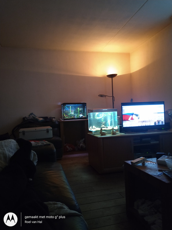 IMG_20201108_164402257