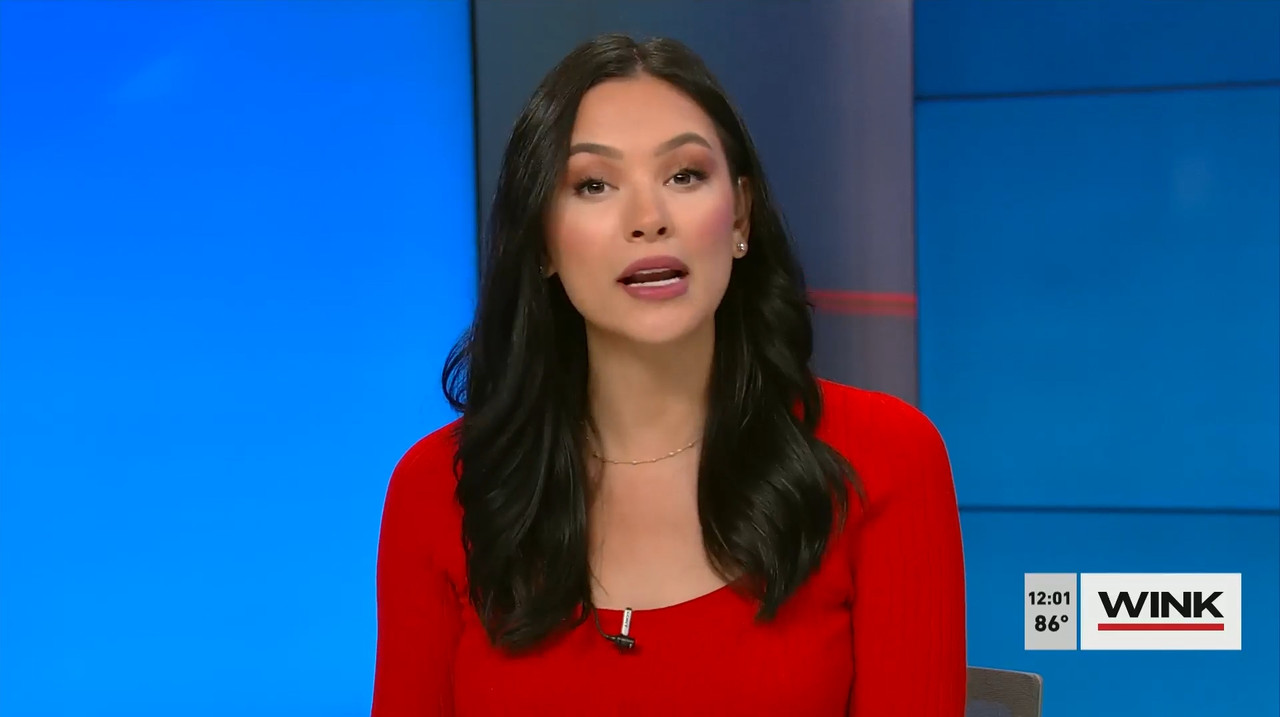 03.27 - 17.00.00 - The Wink Noon News  ᴺᵉʷ. Midday News Update.-1.mp4_snapshot_07.38.562