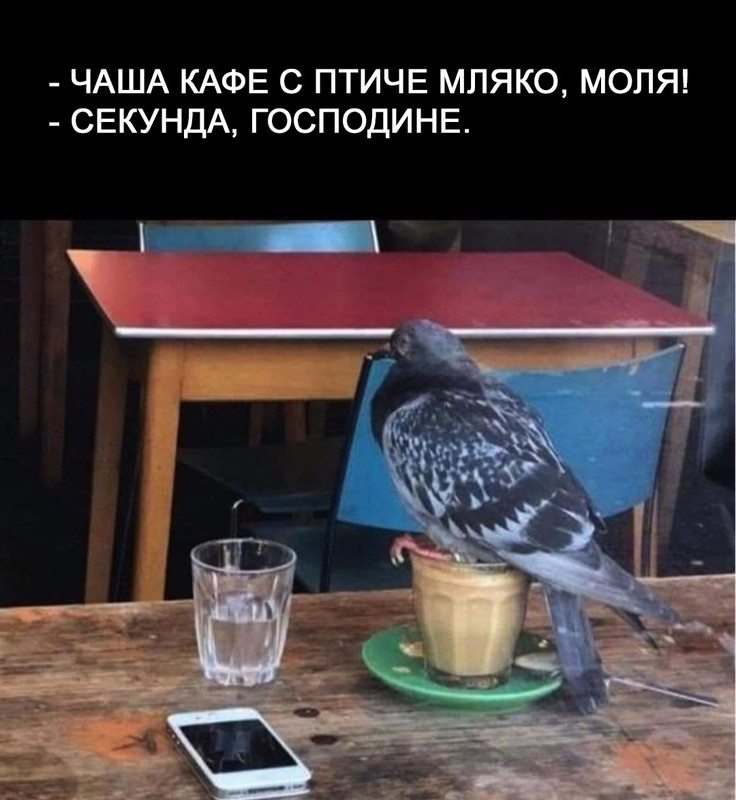 13959274