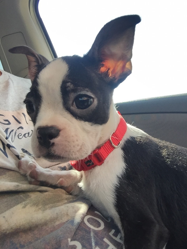 6087147C-2E1F-4839-9D41-885A76030F9F