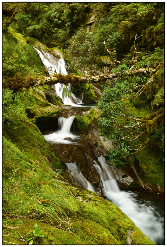 Fiordland NP: Milford Track (enero 2023) - Escapadas y rutas por la Nueva Zelanda menos conocida (48)