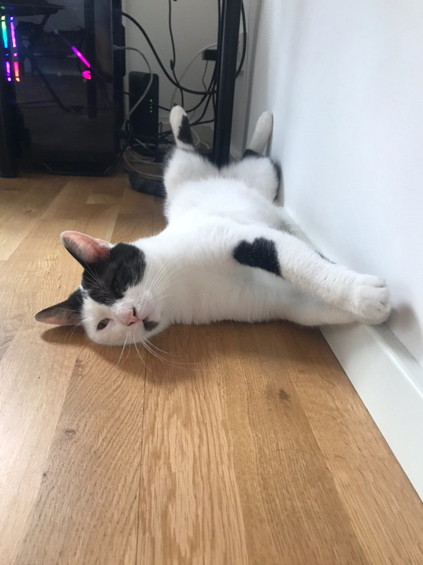 4AE53FEE-EB19-4F9E-9BBD-3405DFAB4CE1