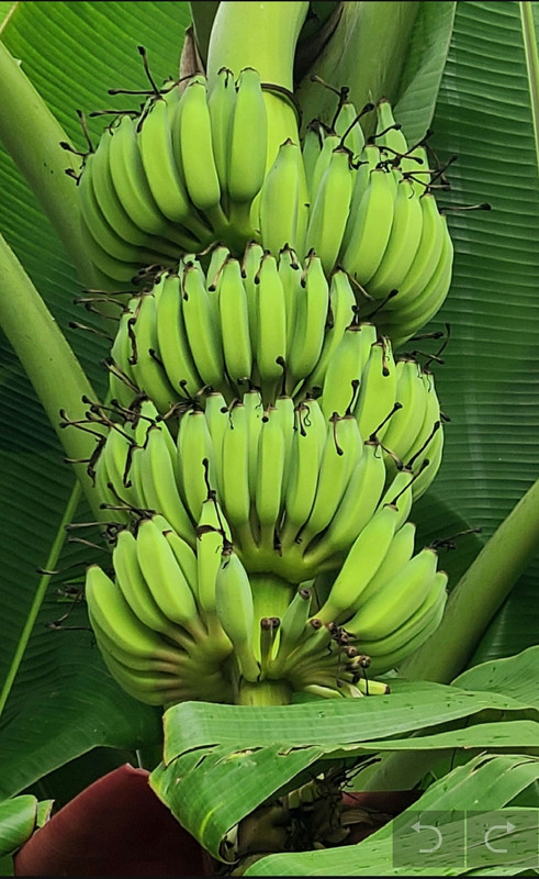 Screenshot_20250817_152913_Gallery