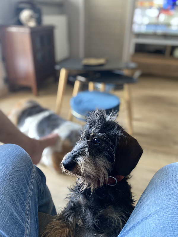 [Image: 721-FF85-F-8606-4-D8-D-82-F1-42166978432-F.jpg]