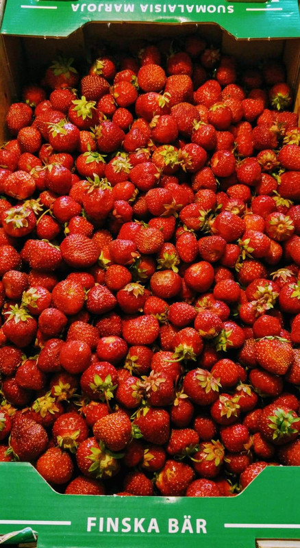 received_10211417745349203