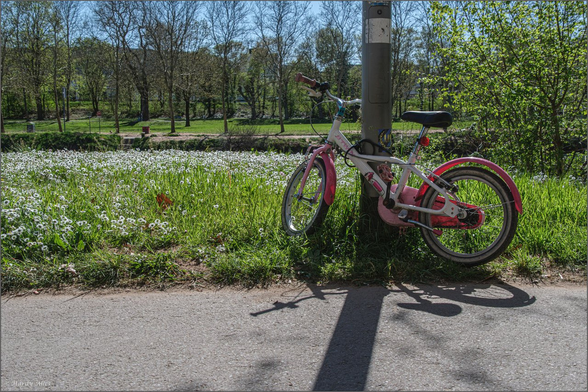 XT5A7751-Verbessert-RR  2025 SB Staden LR ERWZ FB