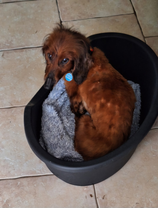 [Image: 20240314-105343.jpg]