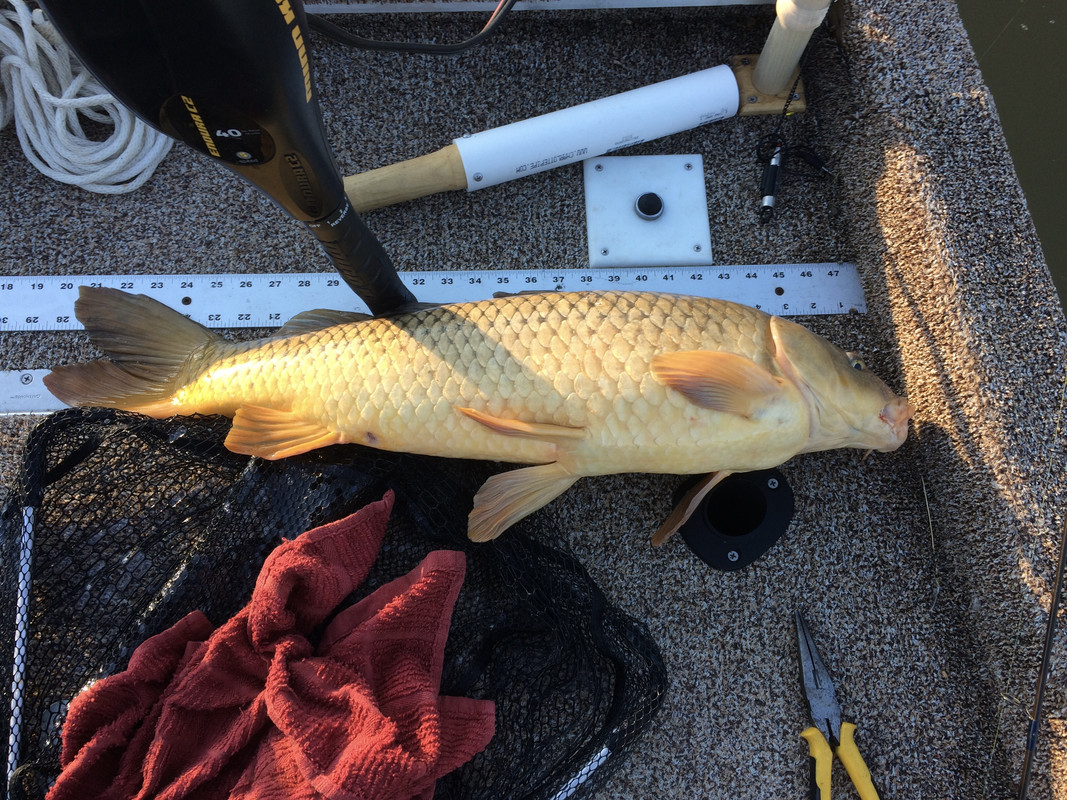 53DCE743-C861-44F4-A775-A6FA484492BE